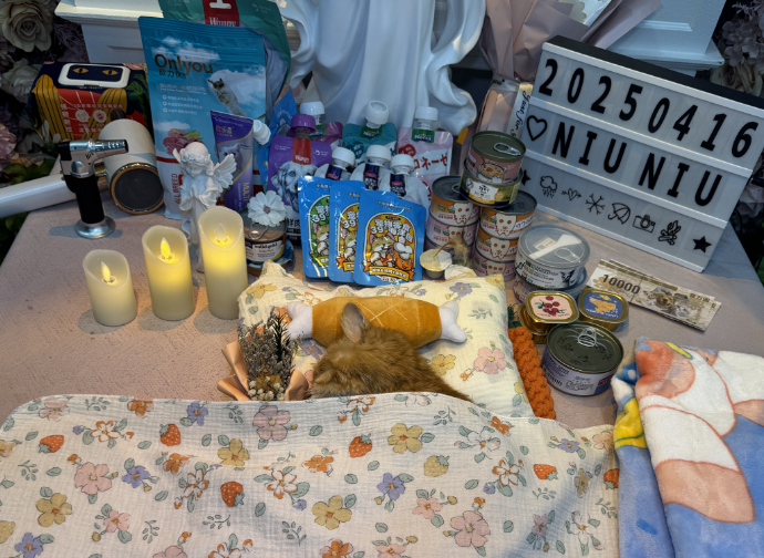 沈阳沈阳宠物殡葬哪家好